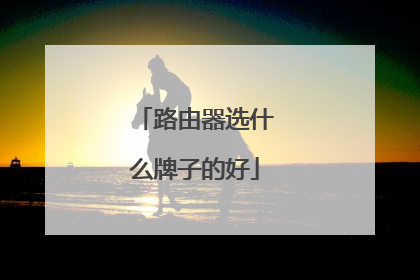 路由器选什么牌子的好
