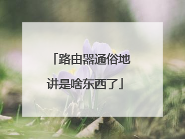 路由器通俗地讲是啥东西了