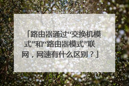 路由器通过“交换机模式”和“路由器模式”联网，网速有什么区别？