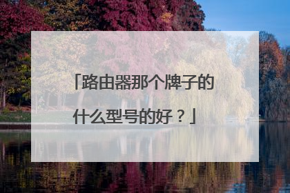 路由器那个牌子的什么型号的好?