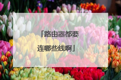 路由器都要连哪些线啊