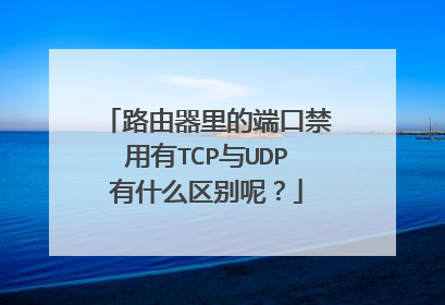 路由器里的端口禁用有TCP与UDP有什么区别呢？