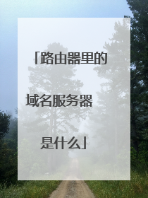 路由器里的域名服务器 是什么