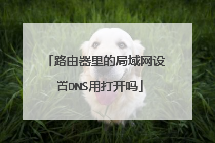 路由器里的局域网设置DNS用打开吗