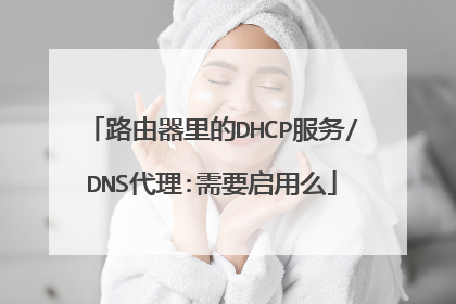路由器里的DHCP服务/DNS代理:需要启用么