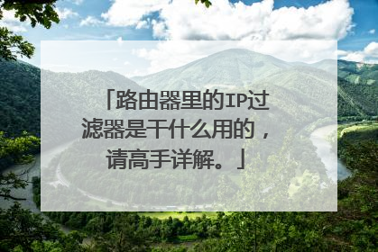 路由器里的IP过滤器是干什么用的,请高手详解。
