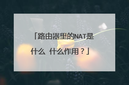路由器里的NAT是什么 什么作用？