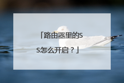 路由器里的SS怎么开启？