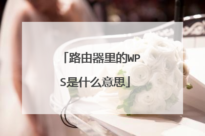 路由器里的WPS是什么意思