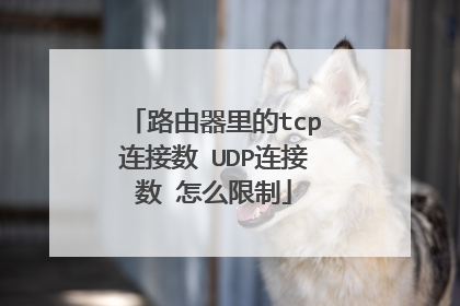 路由器里的tcp连接数 UDP连接数 怎么限制