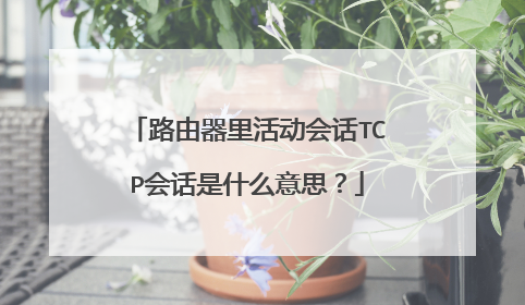 路由器里活动会话TCP会话是什么意思?