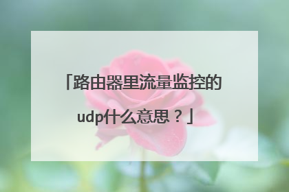 路由器里流量监控的udp什么意思？