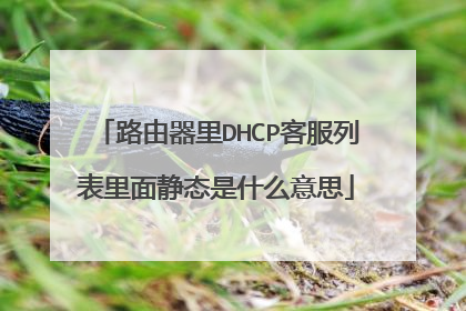 路由器里DHCP客服列表里面静态是什么意思