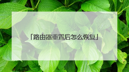 路由器重置后怎么恢复