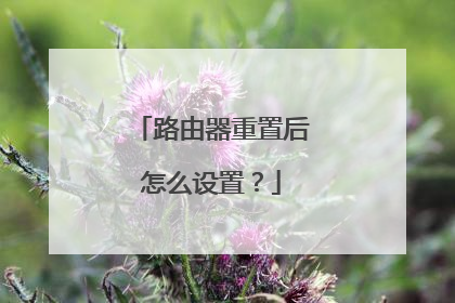 路由器重置后怎么设置？