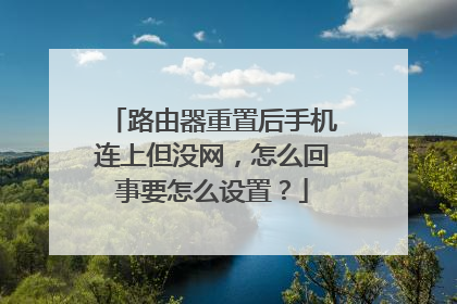 路由器重置后手机连上但没网,怎么回事要怎么设置?