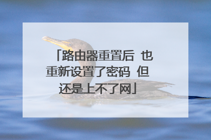 路由器重置后 也重新设置了密码 但还是上不了网