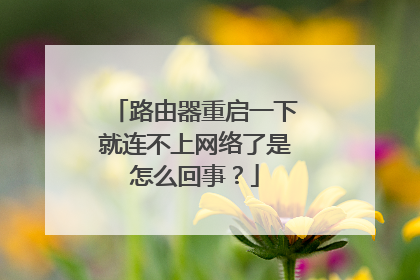 路由器重启一下就连不上网络了是怎么回事？