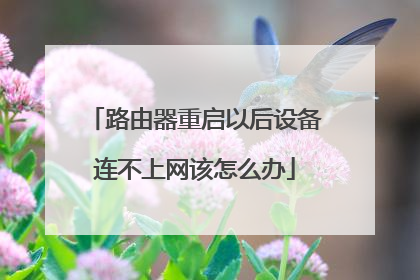 路由器重启以后设备连不上网该怎么办