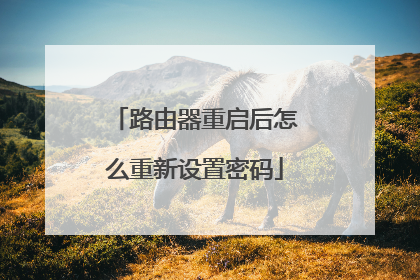 路由器重启后怎么重新设置密码