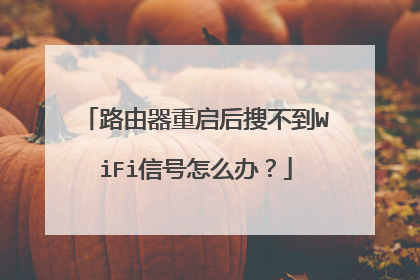 路由器重启后搜不到WiFi信号怎么办？