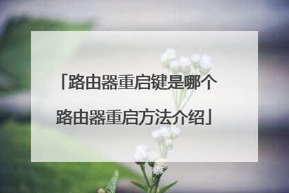 路由器重启键是哪个 路由器重启方法介绍