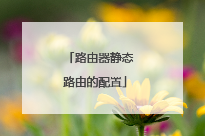 路由器静态路由的配置