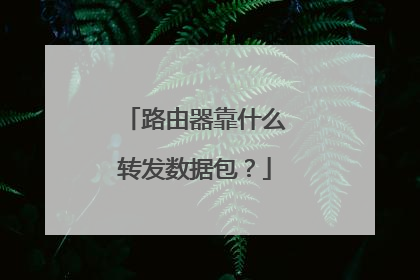 路由器靠什么转发数据包?