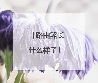 路由器长什么样子