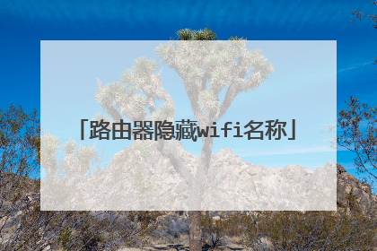 路由器隐藏wifi名称