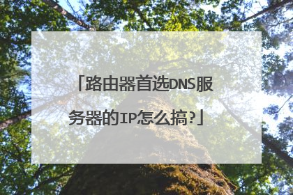 路由器首选DNS服务器的IP怎么搞?