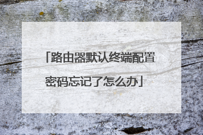 路由器默认终端配置密码忘记了怎么办