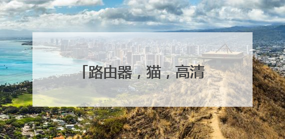 路由器，猫，高清机顶盒？？这三个都各有什么用？