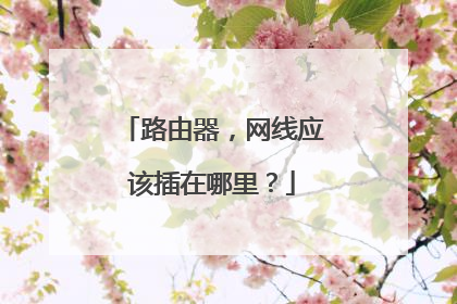 路由器，网线应该插在哪里？