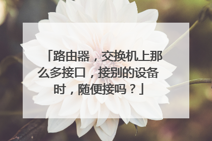 路由器,交换机上那么多接口,接别的设备时,随便接吗?