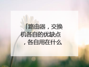 路由器,交换机各自的优缺点,各自用在什么地方比较好?