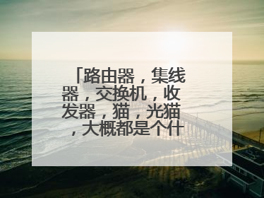 路由器，集线器，交换机，收发器，猫，光猫，大概都是个什么，有什么区别？用于什么？