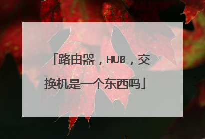 路由器，HUB，交换机是一个东西吗