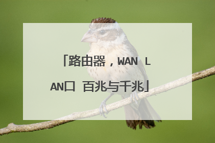 路由器，WAN LAN口 百兆与千兆