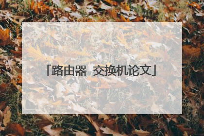 路由器 交换机论文