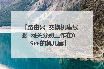 路由器 交换机集线器 网关分别工作在OSPF的第几层