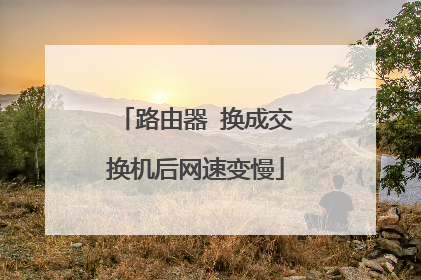 路由器 换成交换机后网速变慢