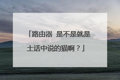 路由器 是不是就是土话中说的猫啊?