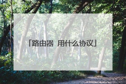 路由器 用什么协议