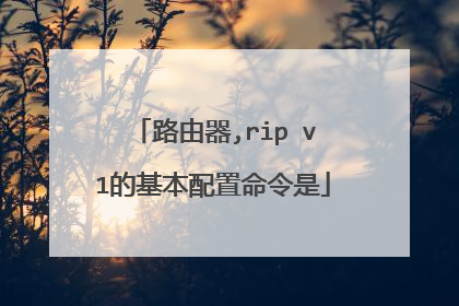 路由器,rip v1的基本配置命令是