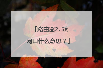路由器2.5g网口什么意思?