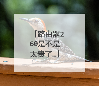 路由器260是不是太贵了…
