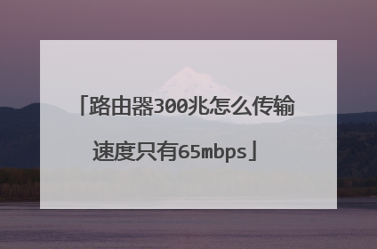 路由器300兆怎么传输速度只有65mbps