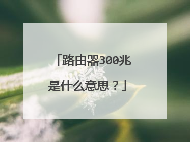 路由器300兆是什么意思？