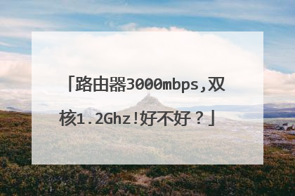 路由器3000mbps,双核1.2Ghz!好不好?